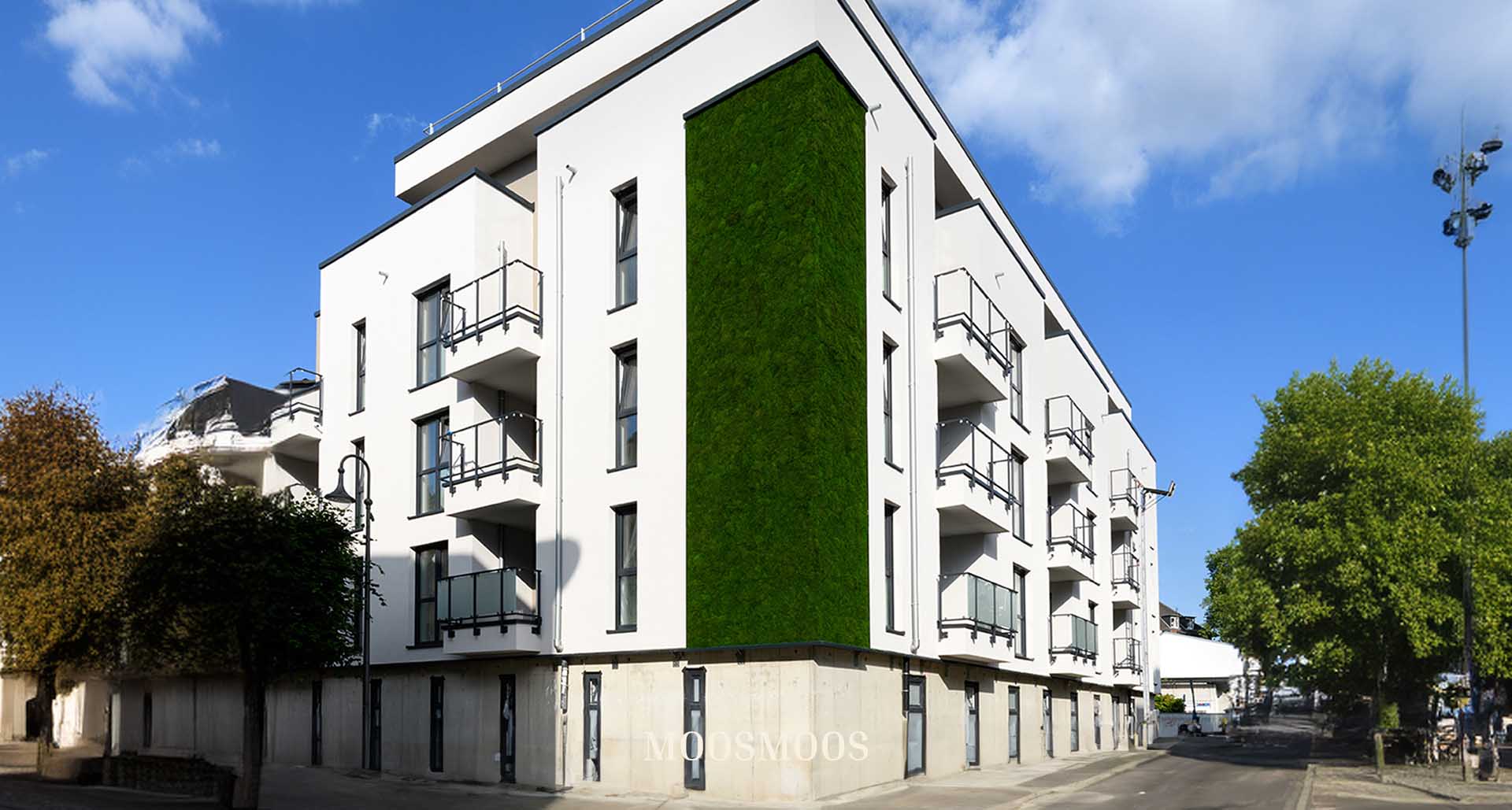 Façade végétalisée Greenovation sur le bâtiment de Reuter Bau à Euskirchen