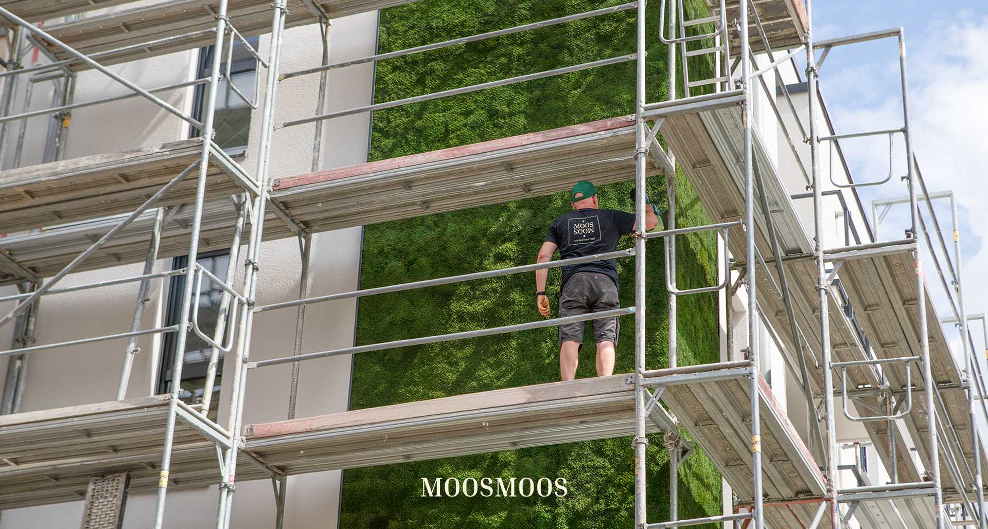 Projet de référence Reuter Bau à Euskirchen — façade végétalisée « Greenovation » visible du public