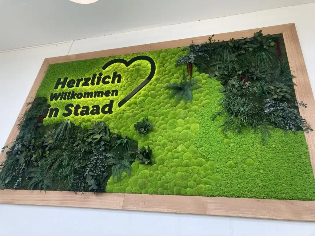Photo du projet — Alexandra Reddich · Lidl Suisse · 14 août 2023