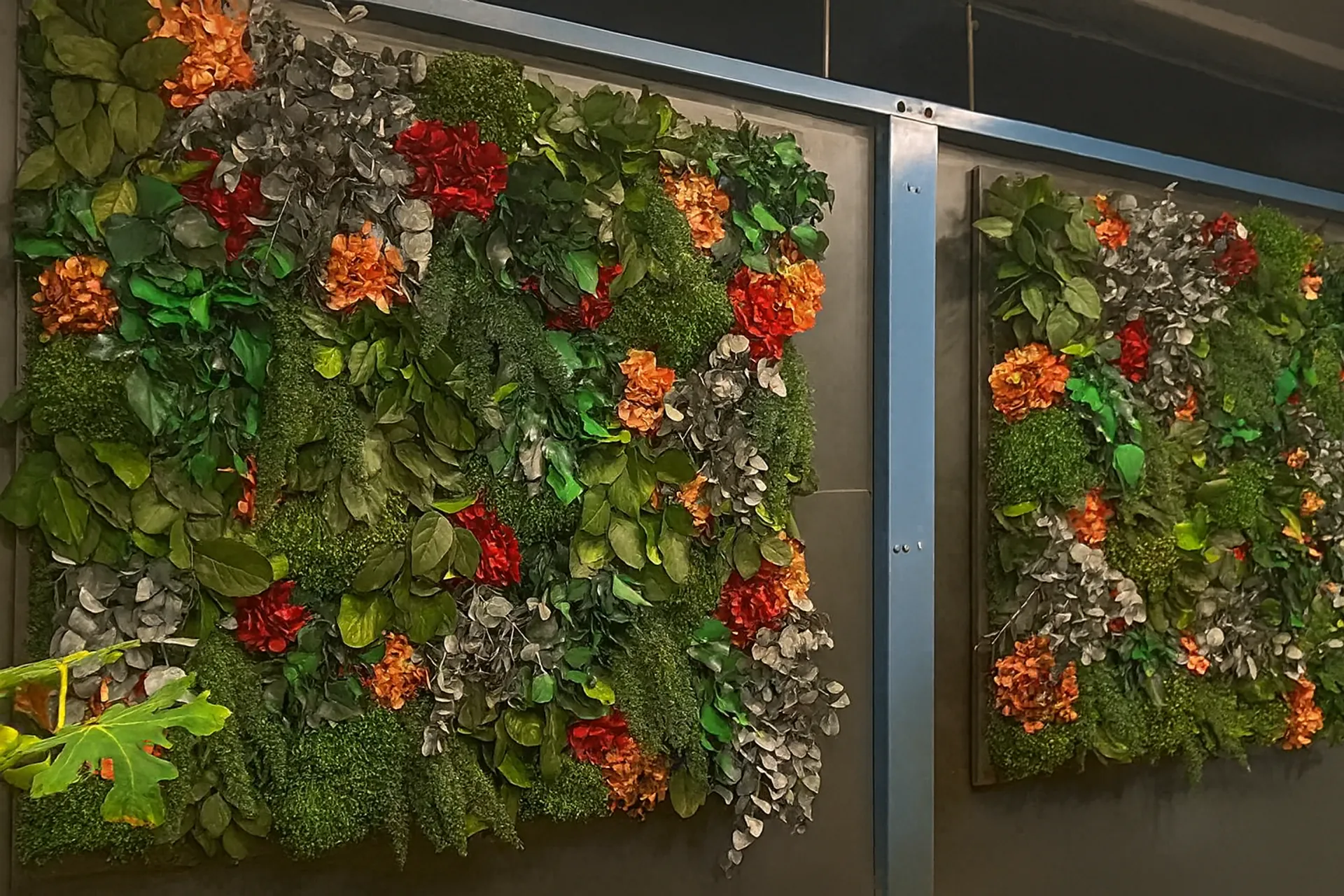 Référence « Mur végétal moderne » — Aménagement végétal mural par MOOSMOOS