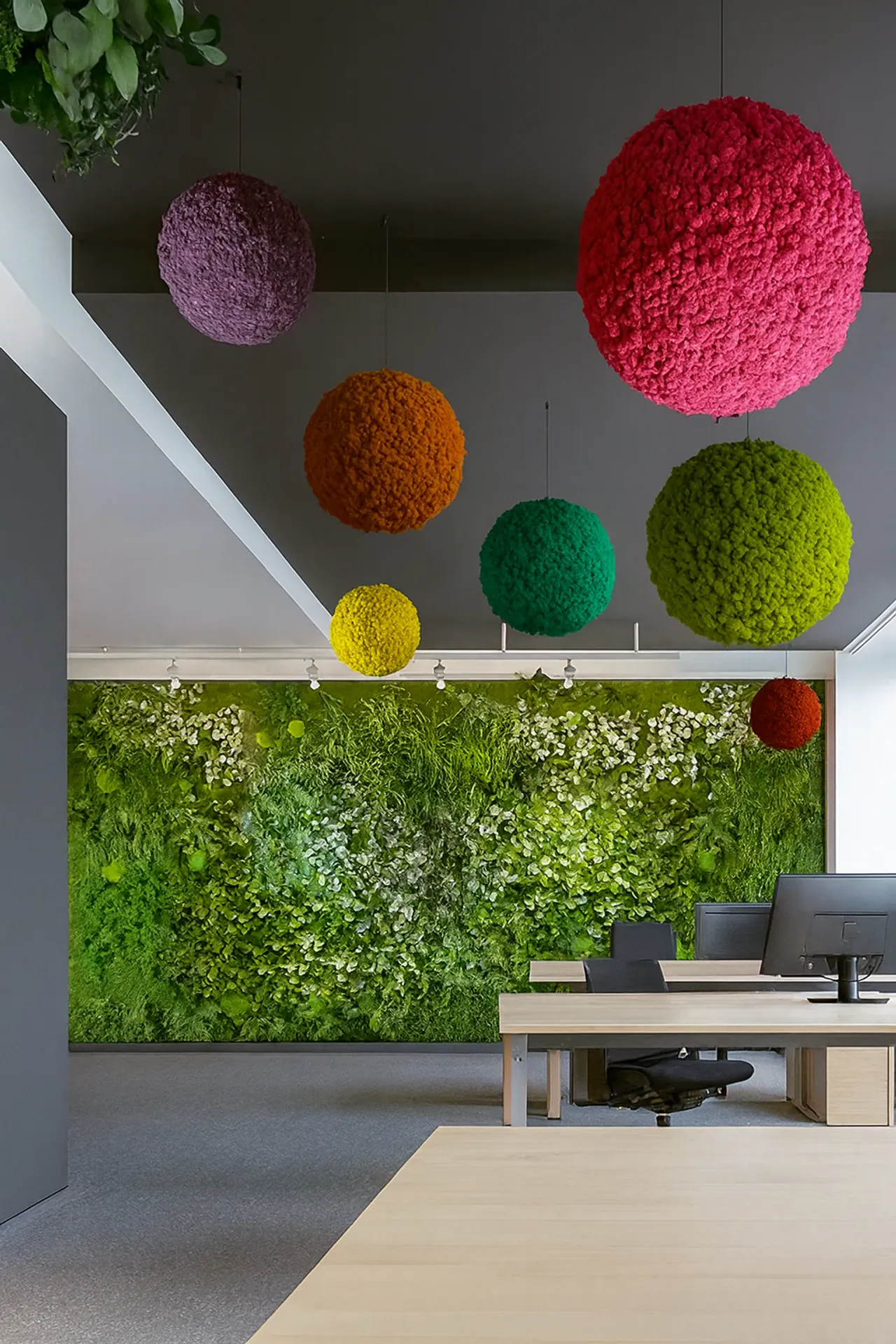 Hanging Garden : un espace d’accueil moderne pour bureaux — Aménagement végétalisé au plafond par MOOSMOOS