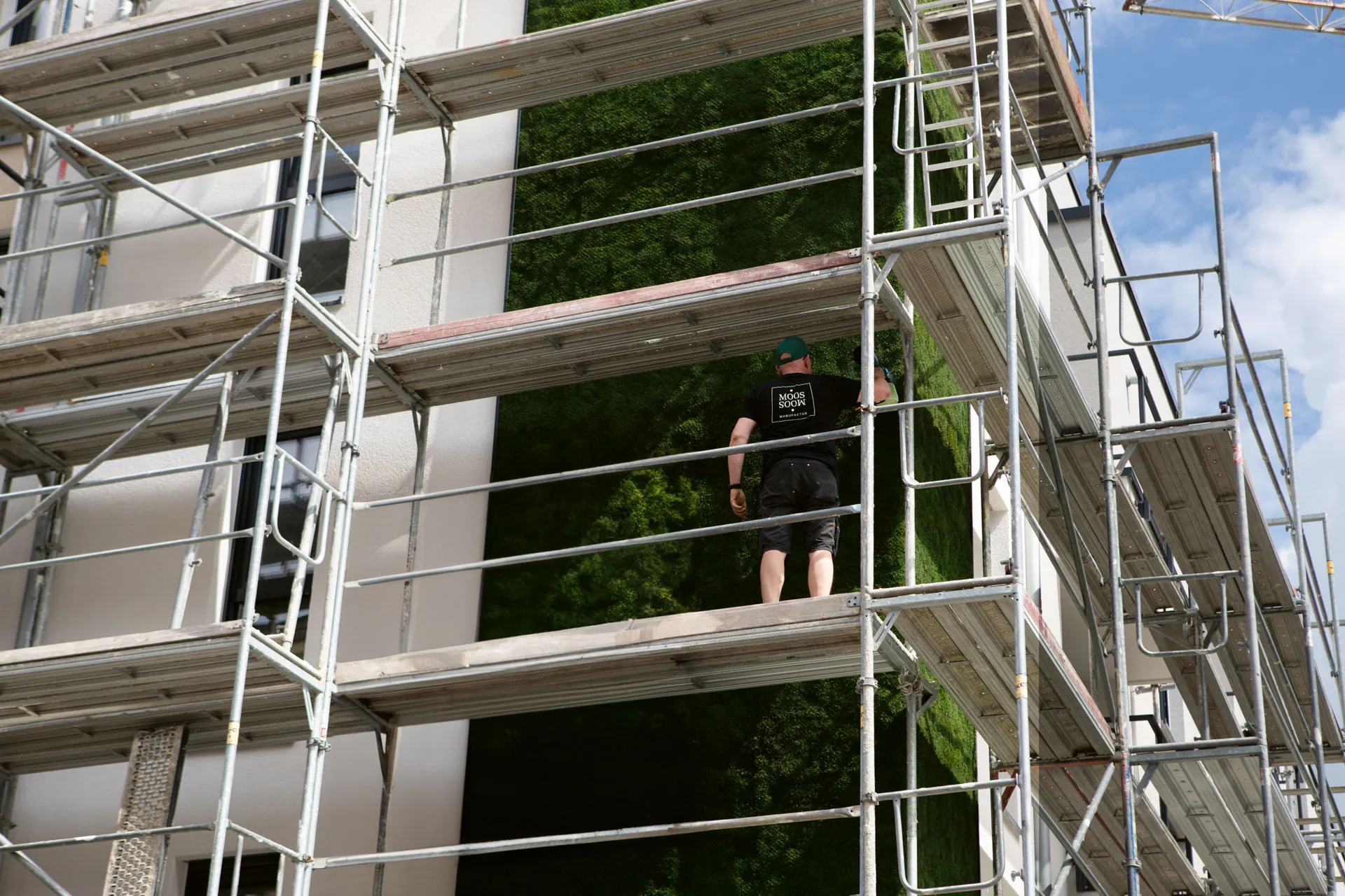 Installation du système Greenovation — Végétalisation des façades avec de la mousse en milieu urbain