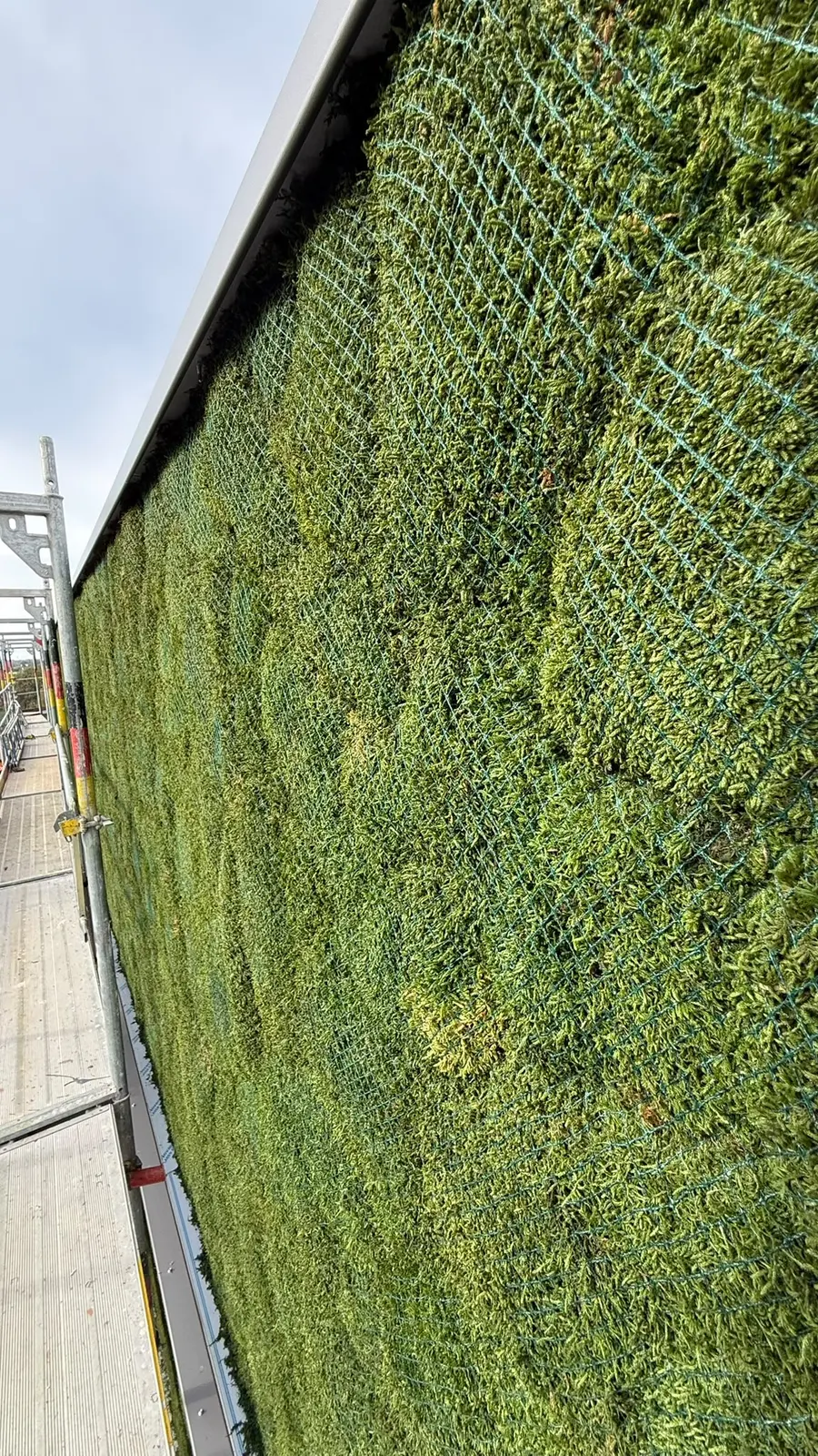 Gros plan sur la surface de mousse avec le filet qui la maintient contre la façade