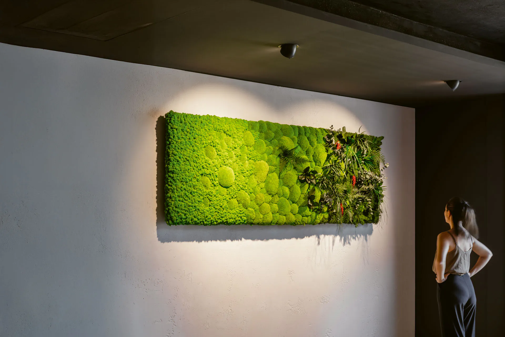 Tableaux en mousse naturelle — collection artisanale de la manufacture MOOSMOOS présentée dans une galerie