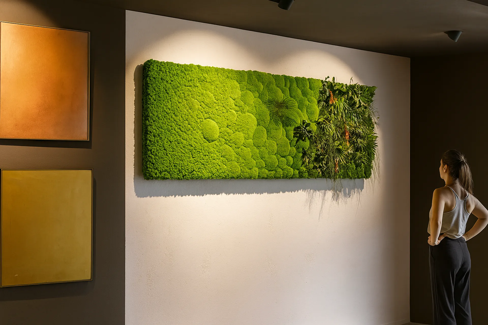 Showroom de tableaux en mousse : décoration murale moderne — Tableaux en mousse de MOOSMOOS
