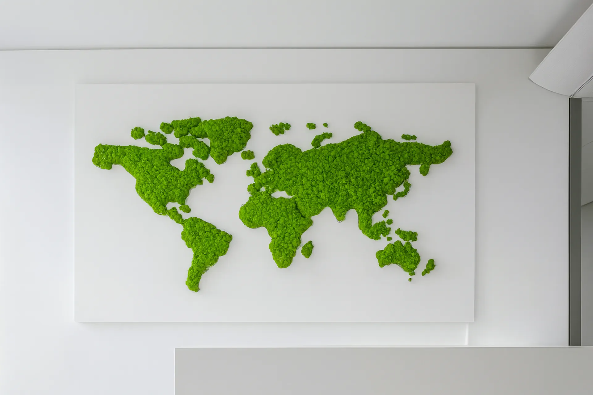 Tableau en mousse du monde — Tableaux en mousse de MOOSMOOS