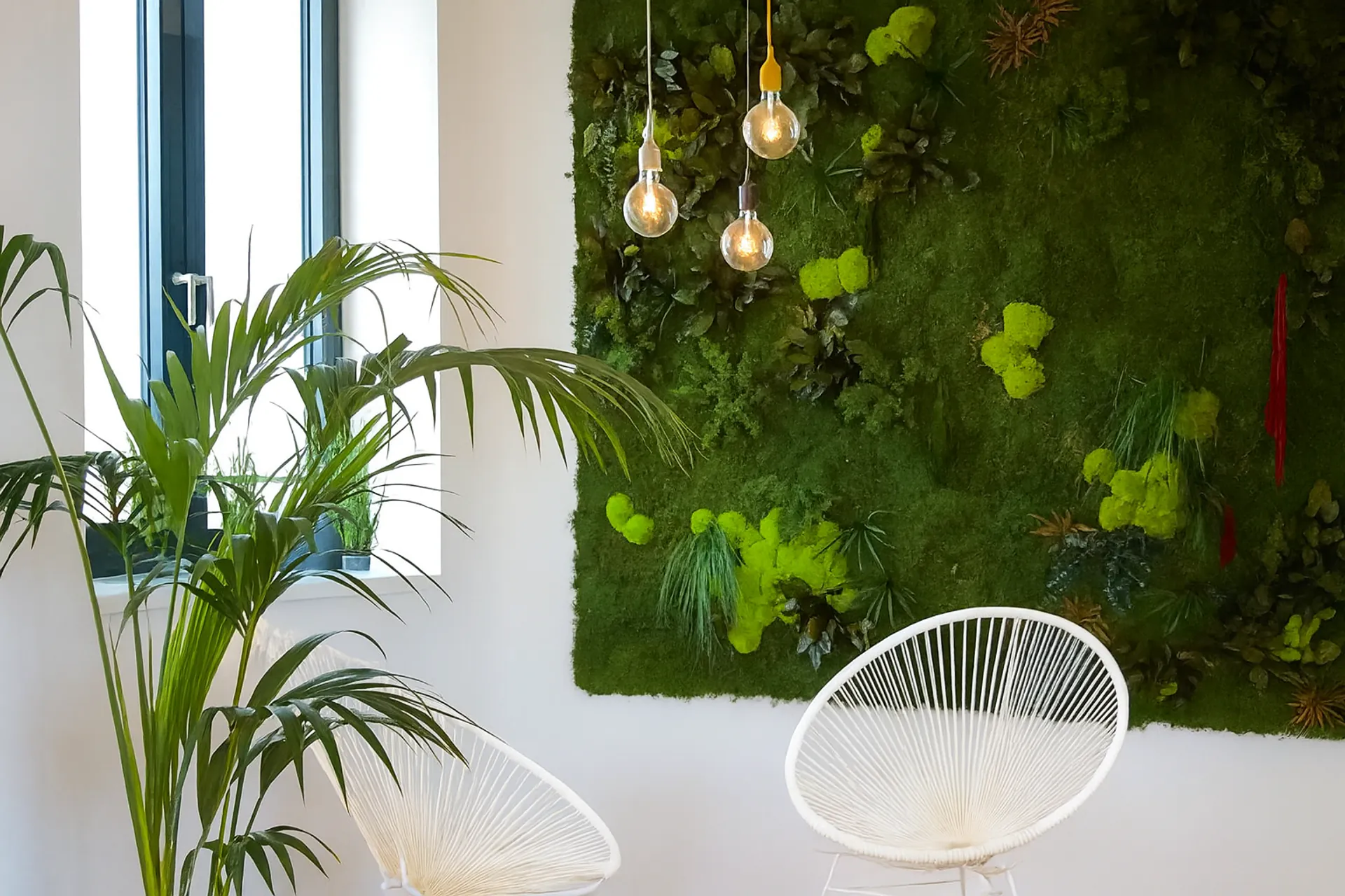 Hanging Garden Bureau Moderne — Végétalisation de plafond par MOOSMOOS