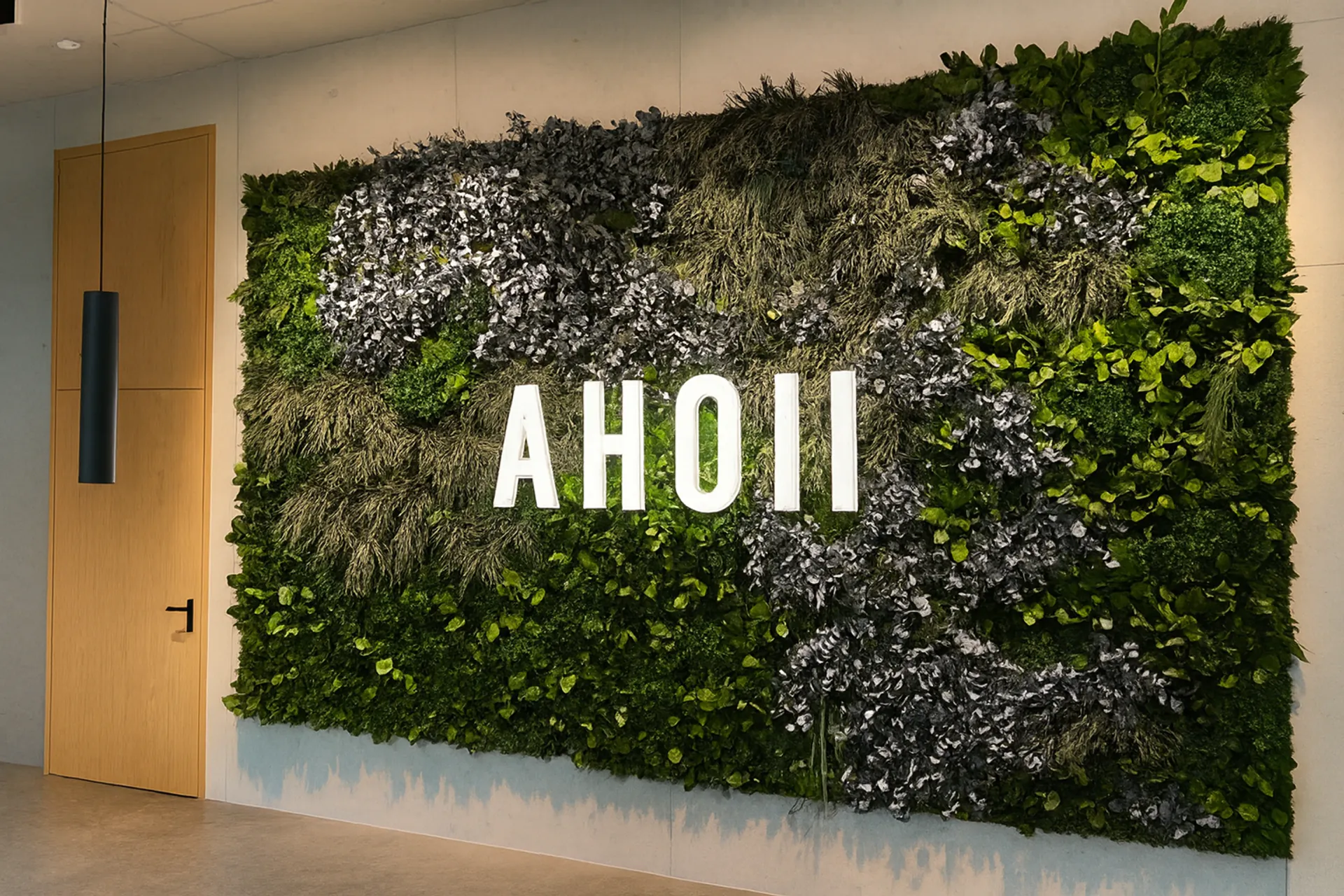 Logo en mousse « Ahoi » – Hall d’accueil et showroom — Logo en mousse par MOOSMOOS