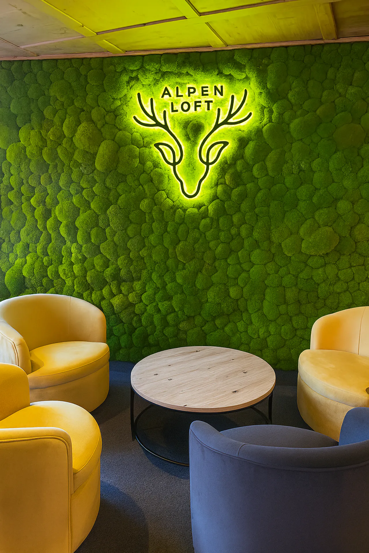 Logo en mousse — Logo « Moos » à la réception du bureau — Logo en mousse de MOOSMOOS