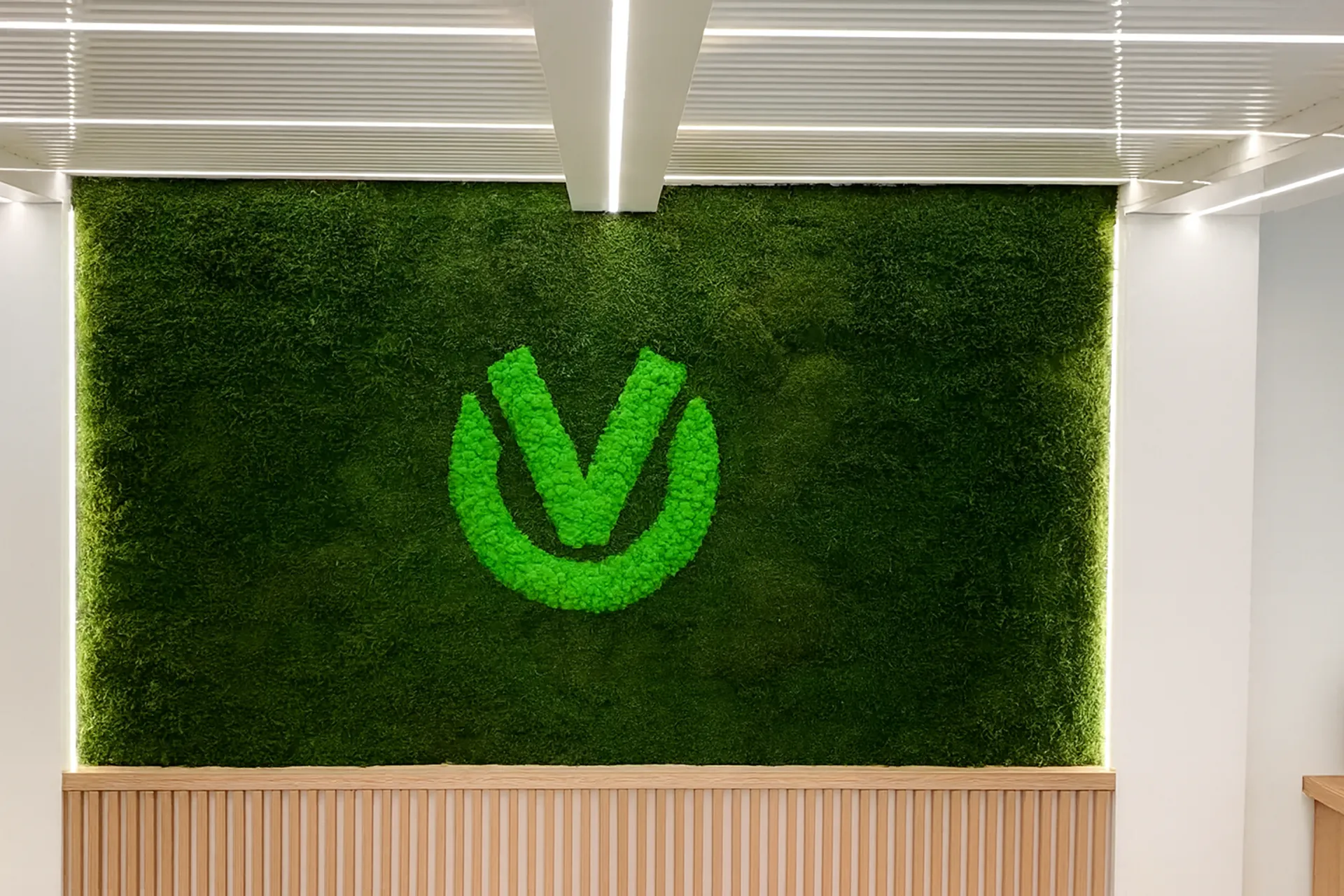 Logo en mousse — Showroom des logos en mousse — Logo en mousse de MOOSMOOS