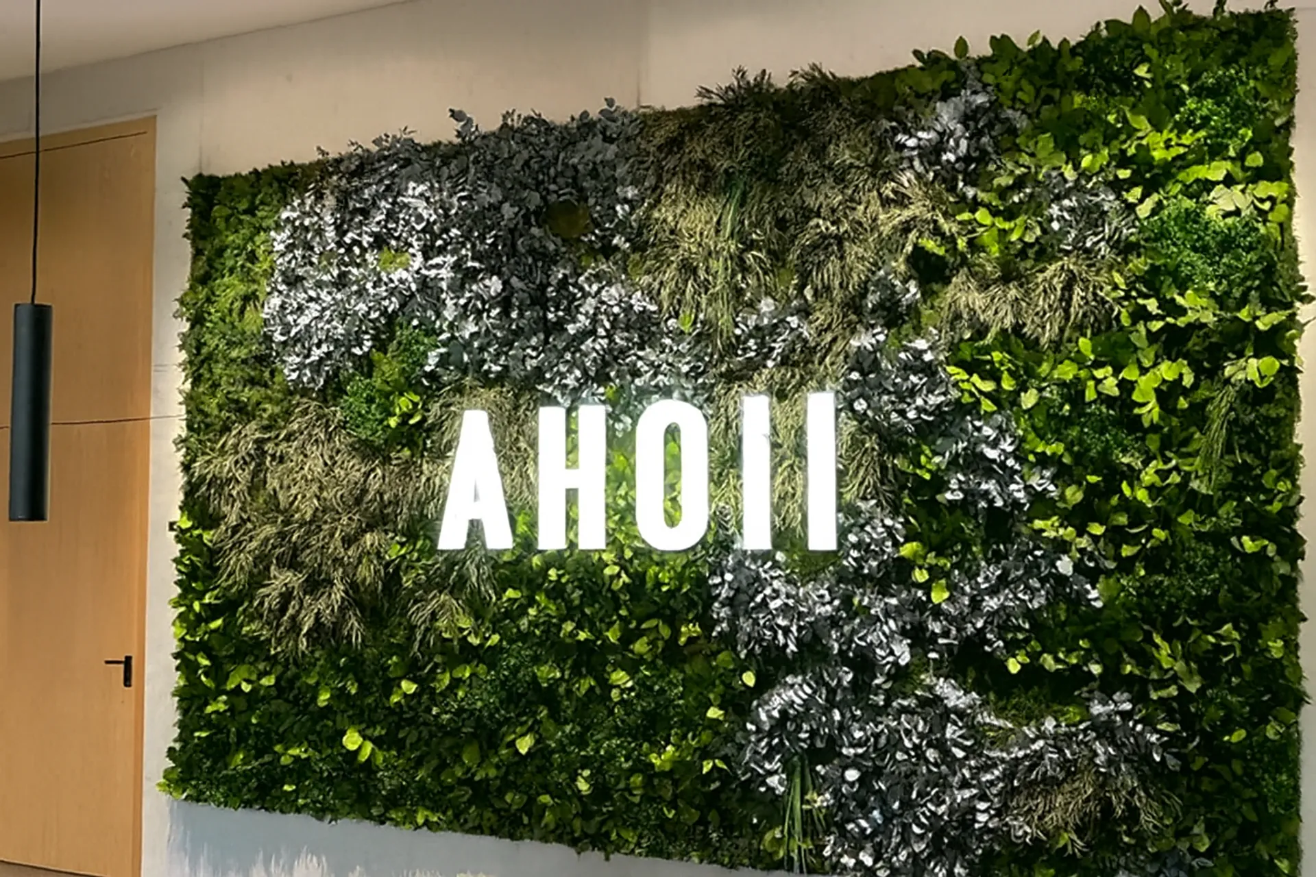 Logo en mousse « Showroom Moos » — Installation murale représentant le logo « Moos » — Logo en mousse par MOOSMOOS