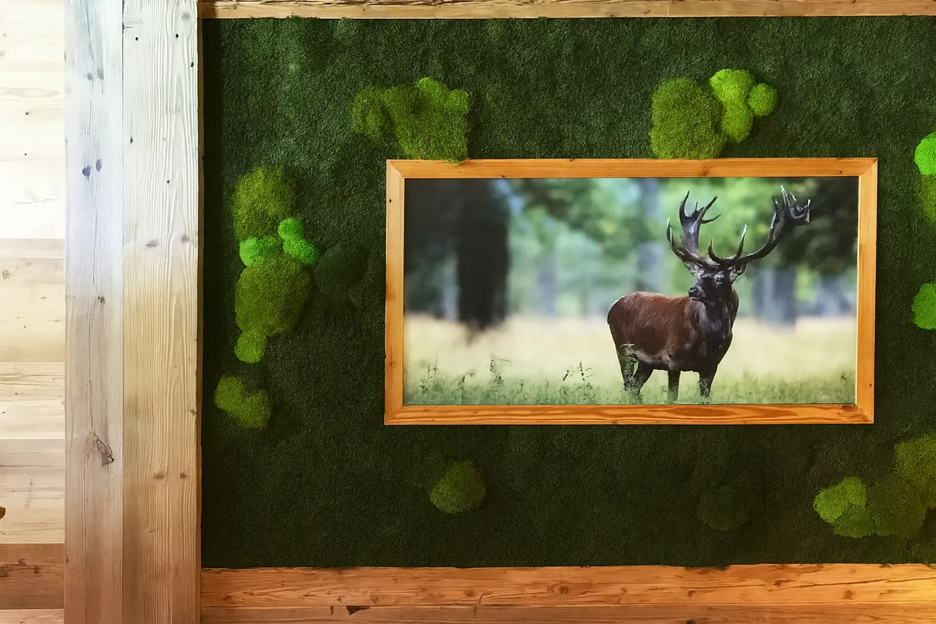Tableau en mousse « Cerf » — Salle d’exposition de cadres en mousse — Tableaux en mousse de MOOSMOOS