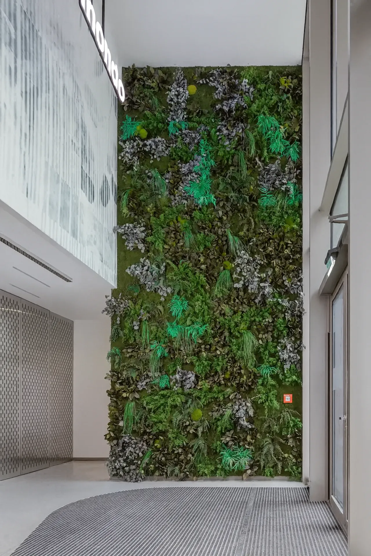 Plafond en mousse pour la réception d’un bureau moderne — Végétalisation de plafond par MOOSMOOS