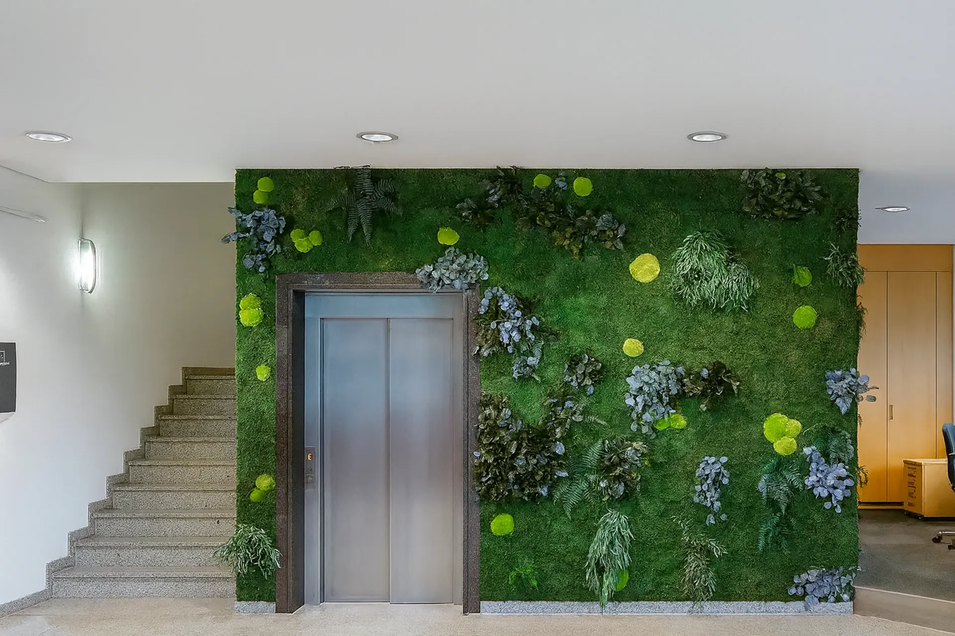Mur en mousse : bureau, réception, ascenseur — Végétalisation murale par MOOSMOOS