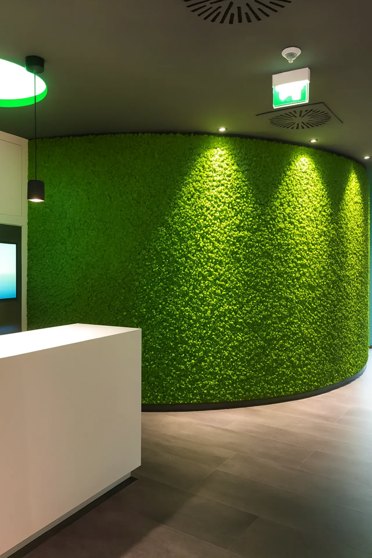 Mur en mousse pour hall d’accueil et bureau moderne — Aménagement végétal mural par MOOSMOOS