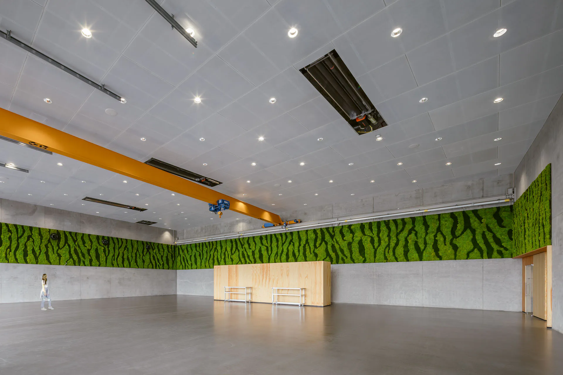 Mur en mousse « Lagerhalle » : végétalisation moderne — Végétalisation murale par MOOSMOOS