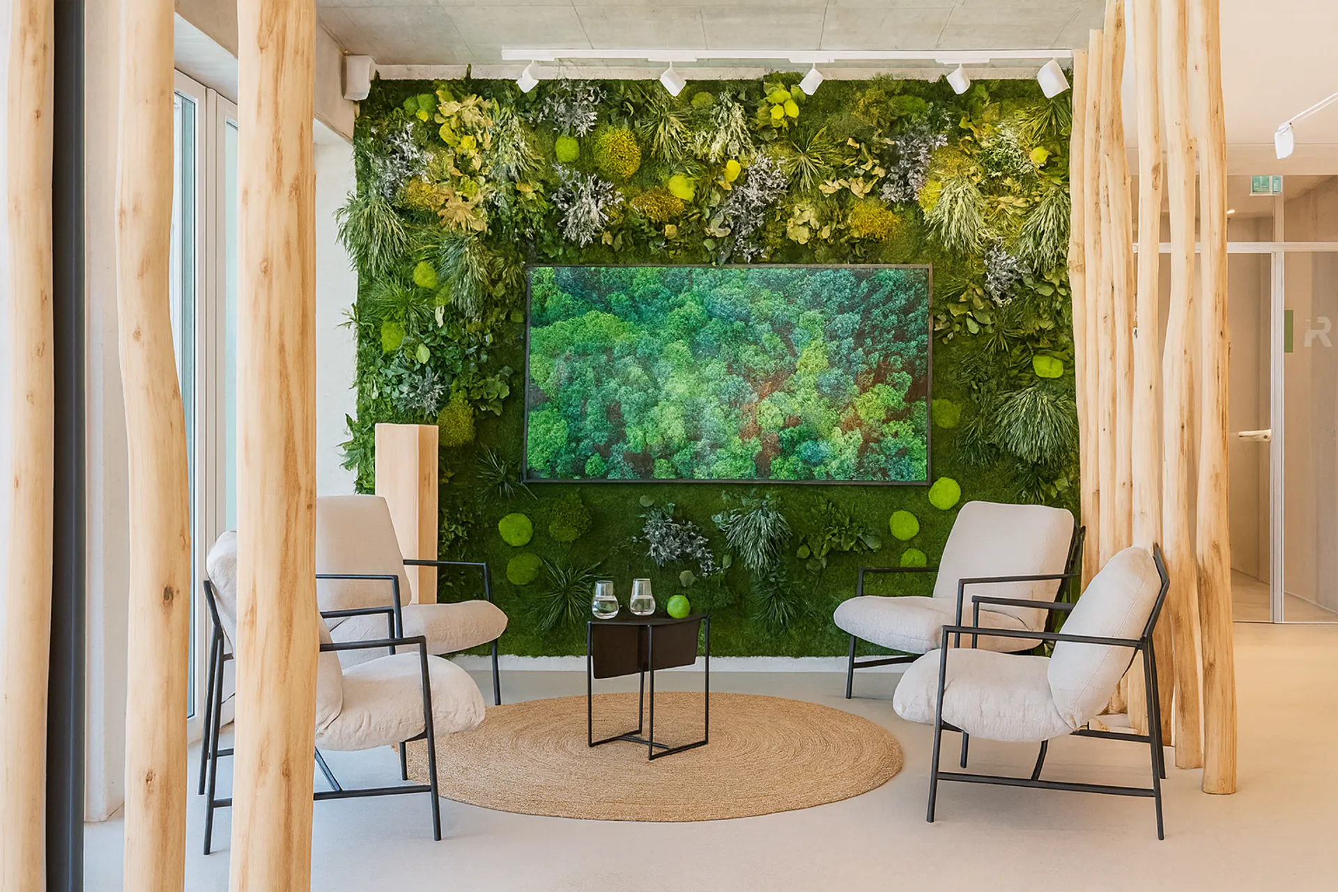 Mur en mousse Lounge TV — Aménagement végétal mural par MOOSMOOS