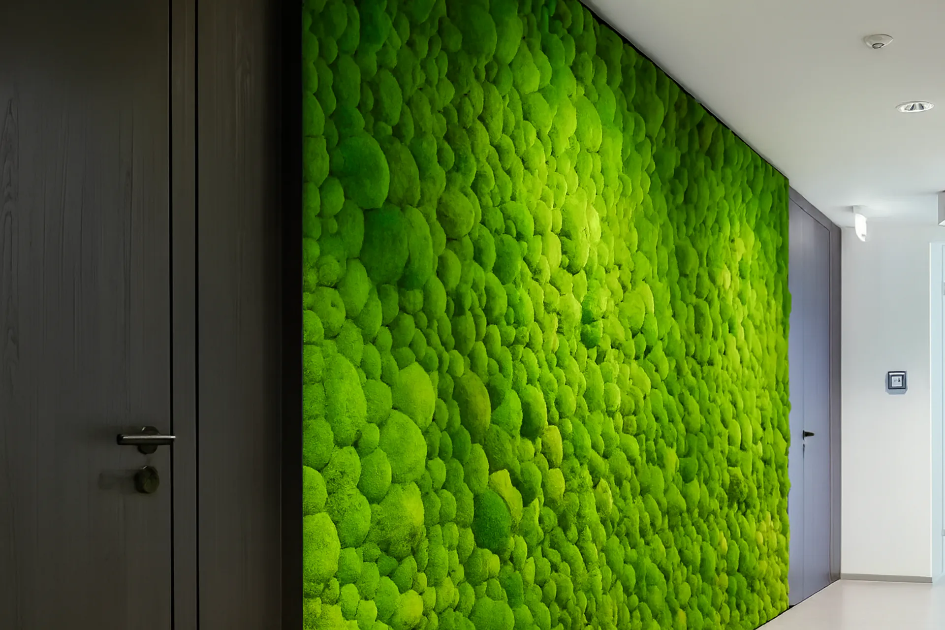 Mur en mousse pour une réception de bureau moderne — Aménagement végétal mural par MOOSMOOS