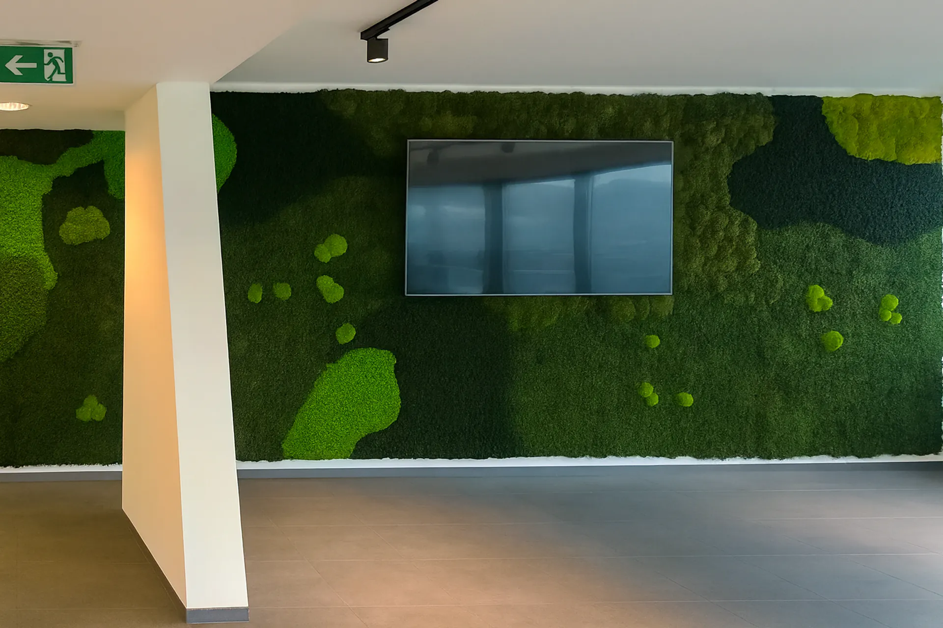 Installation de mur en mousse pour bureau — Végétalisation murale par MOOSMOOS