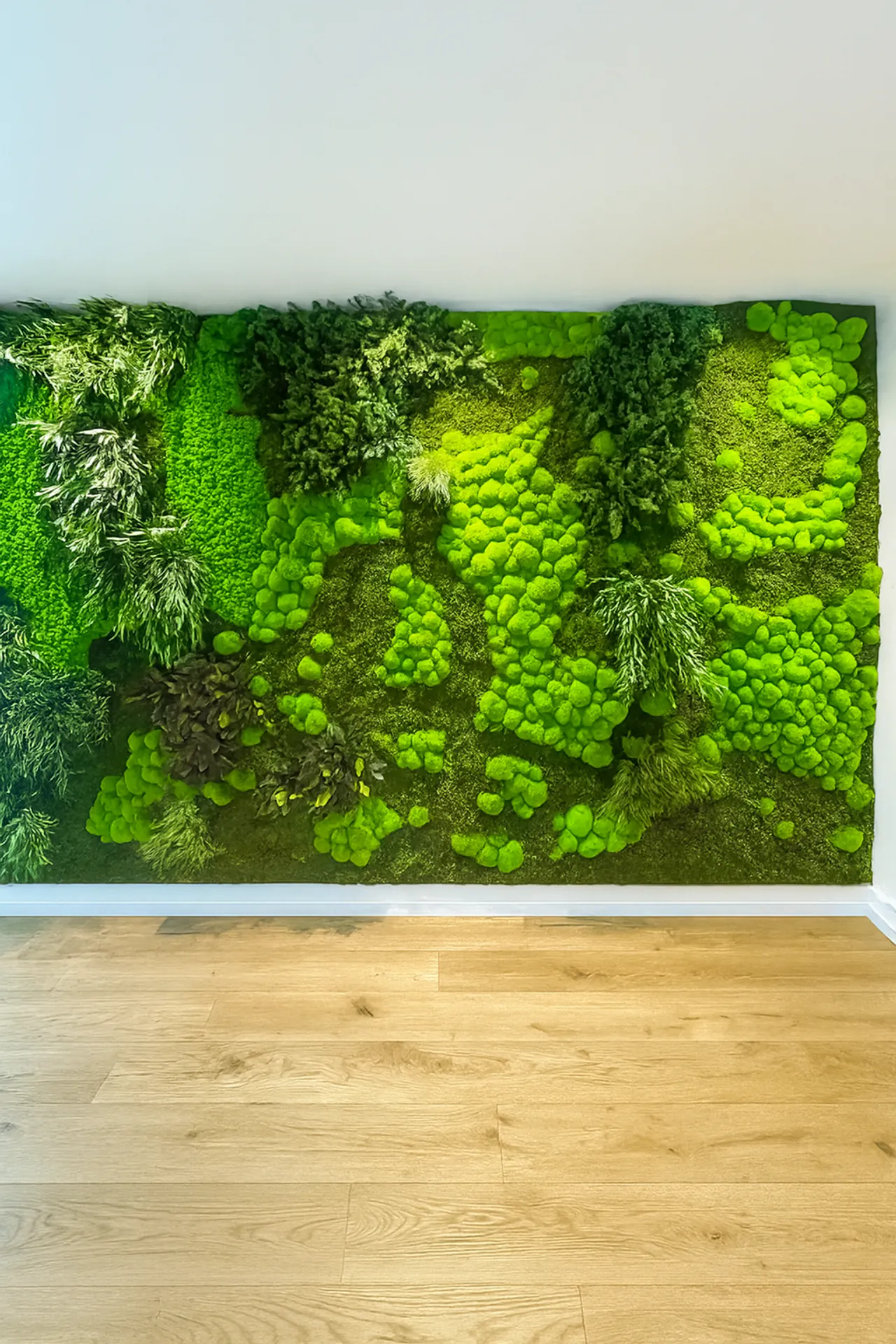 Installation moderne d’un mur en mousse dans un showroom — Végétalisation murale par MOOSMOOS