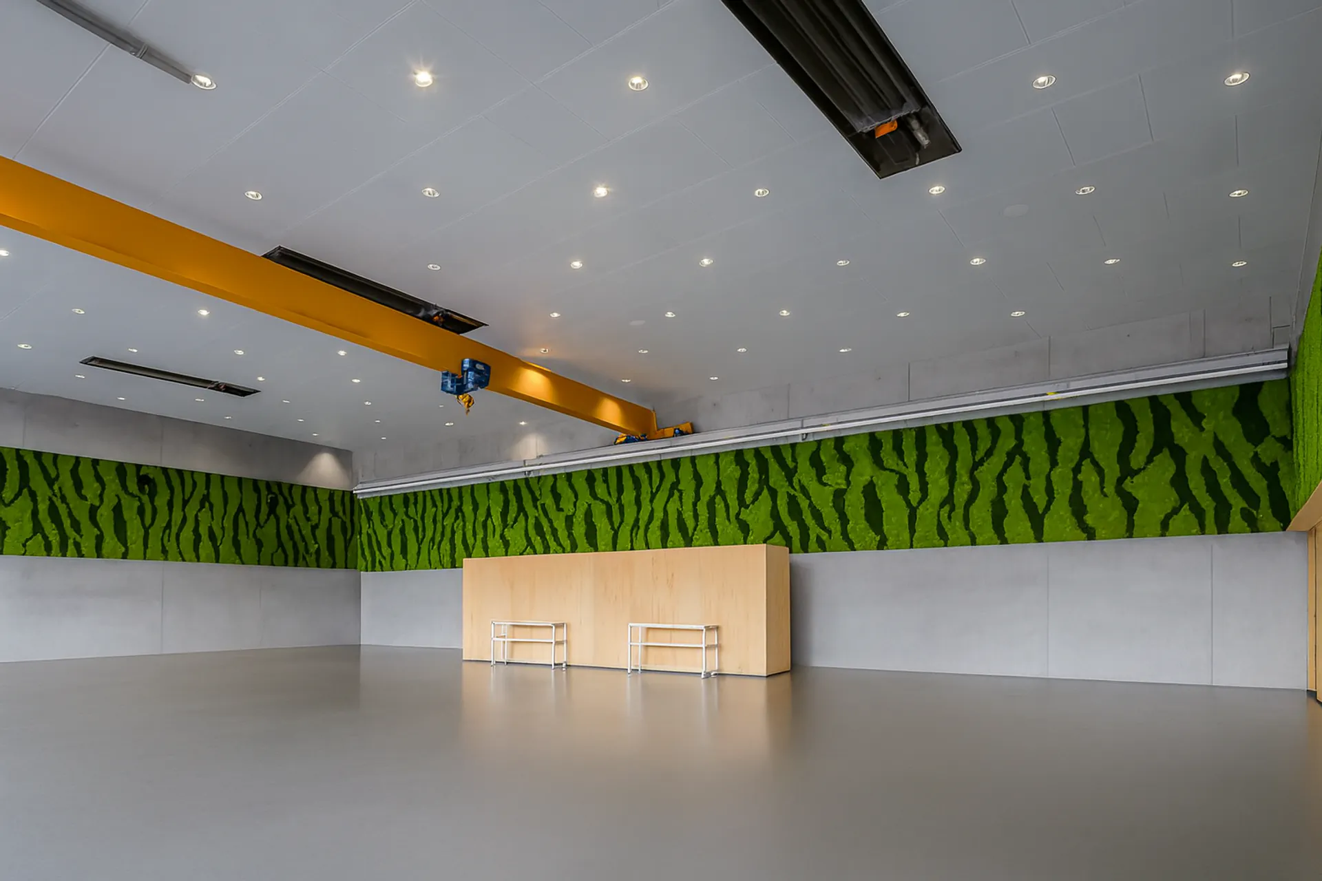 Mur en mousse dans un bureau moderne, espace ouvert — Aménagement végétal mural par MOOSMOOS