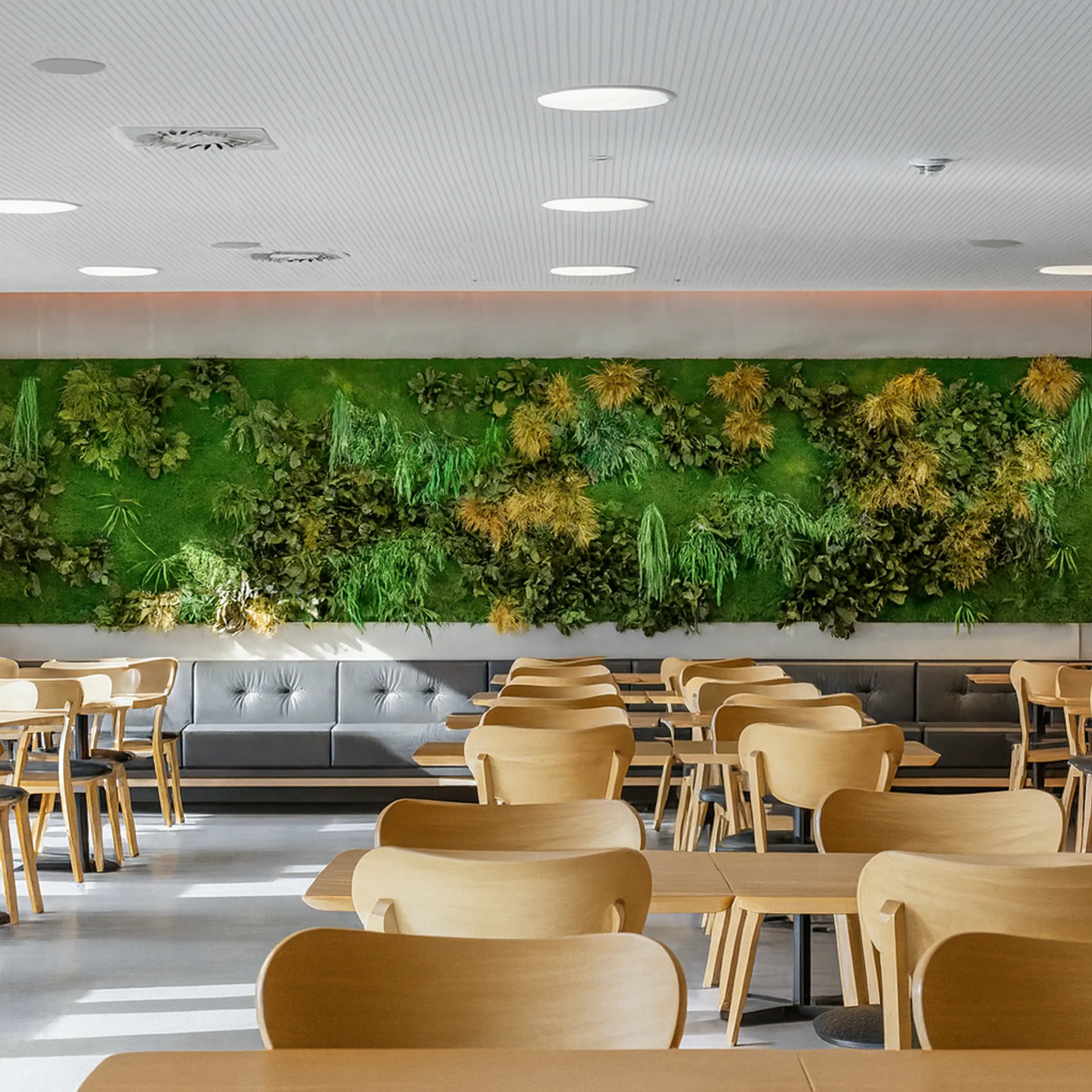 Mur en mousse dans un bureau moderne et un espace cantine — Aménagement végétalisé mural par MOOSMOOS