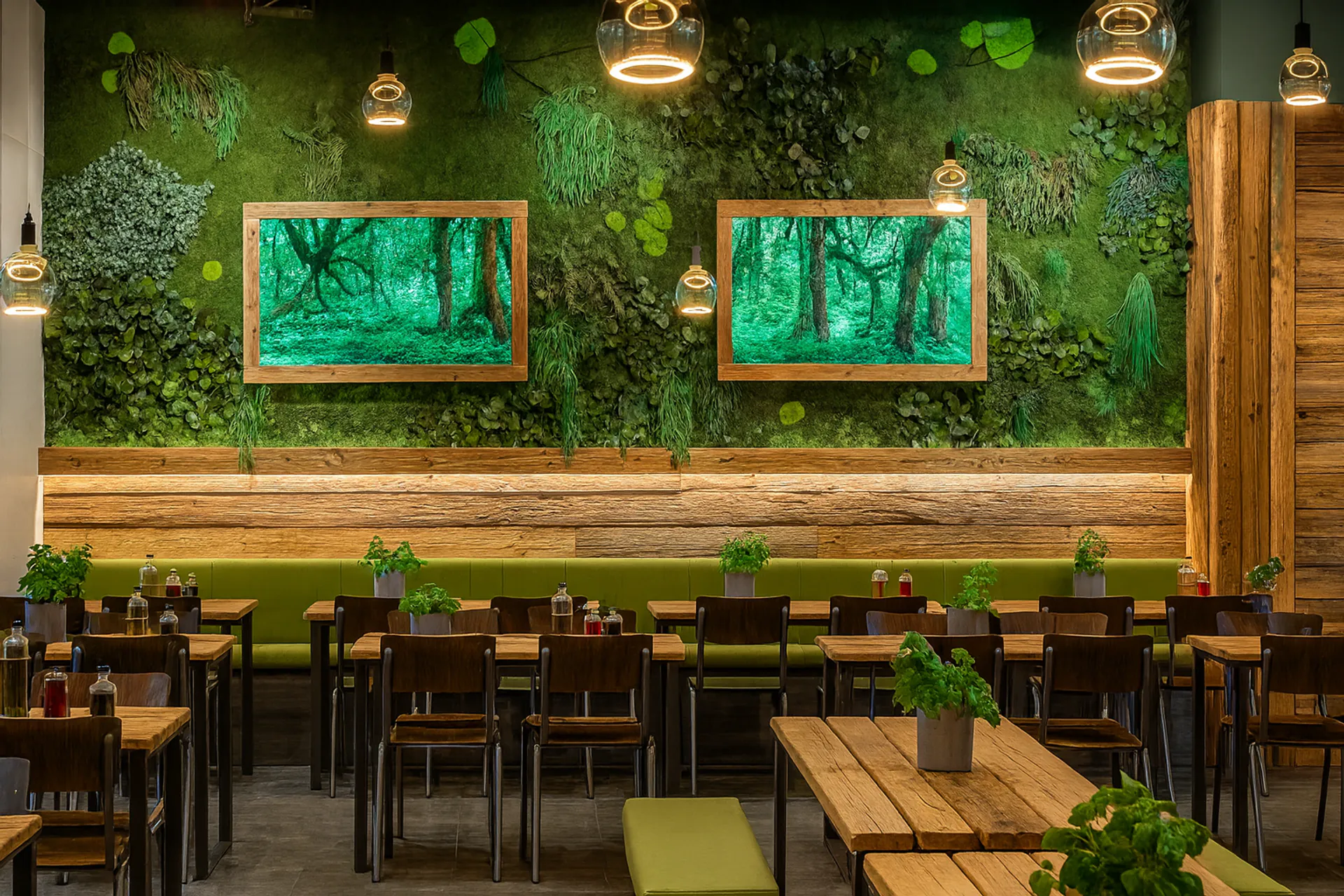Restaurant « Grüne Oase » à Mooswand — Mur végétal réalisé par MOOSMOOS