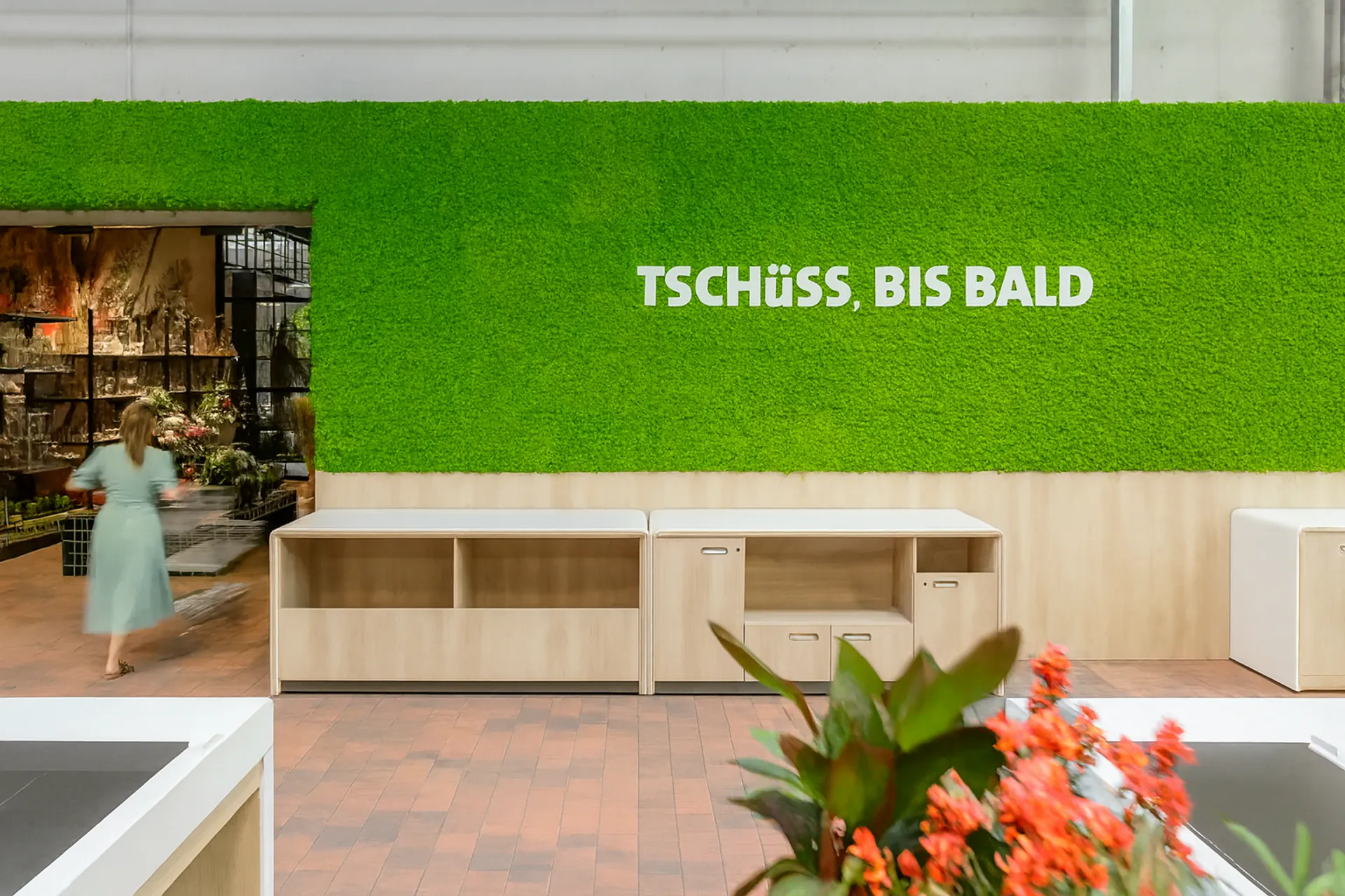 Accueil du showroom « mur en mousse » : un style moderne — Végétalisation murale par MOOSMOOS