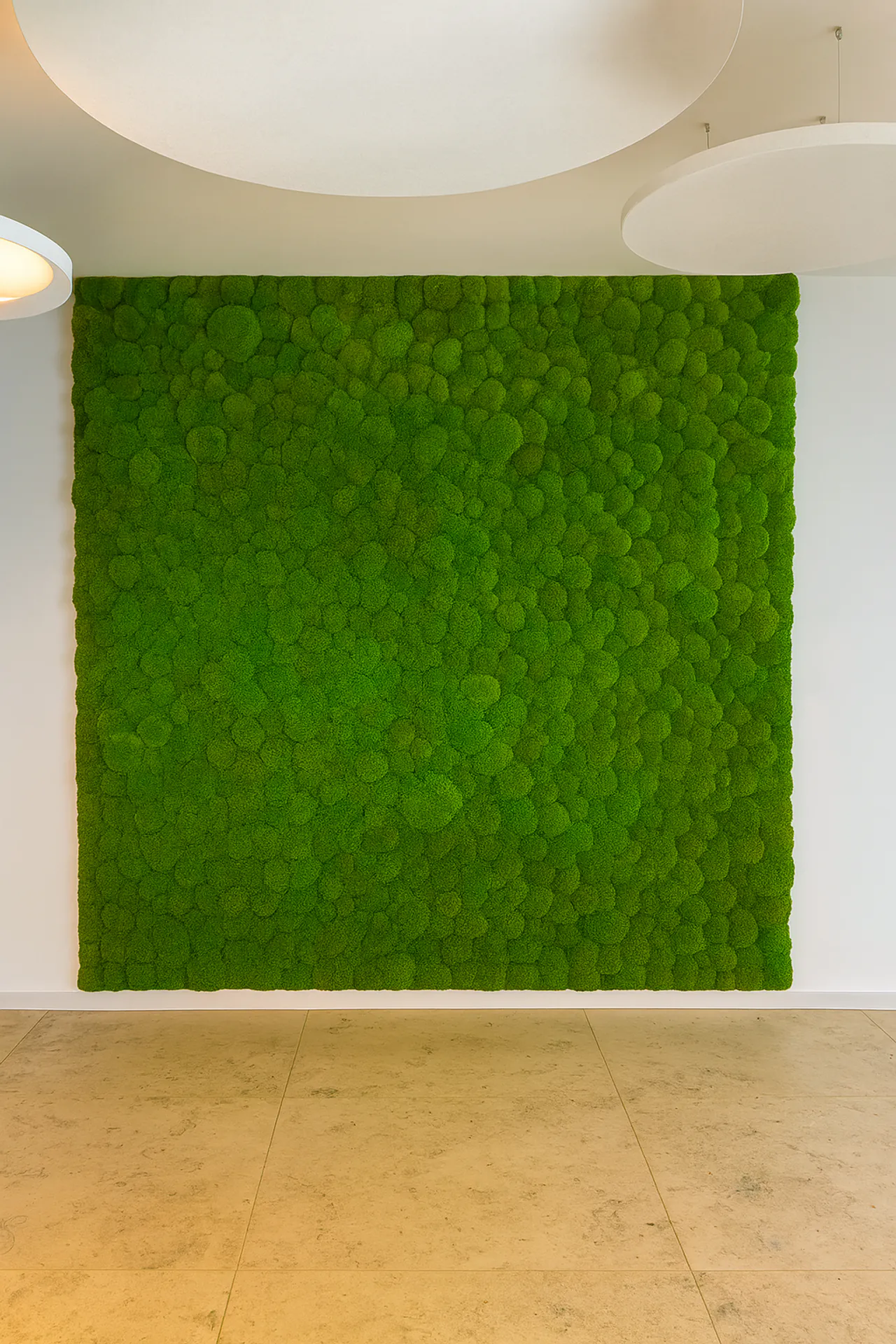 Showroom « mur en mousse » : installation murale moderne — végétalisation murale par MOOSMOOS