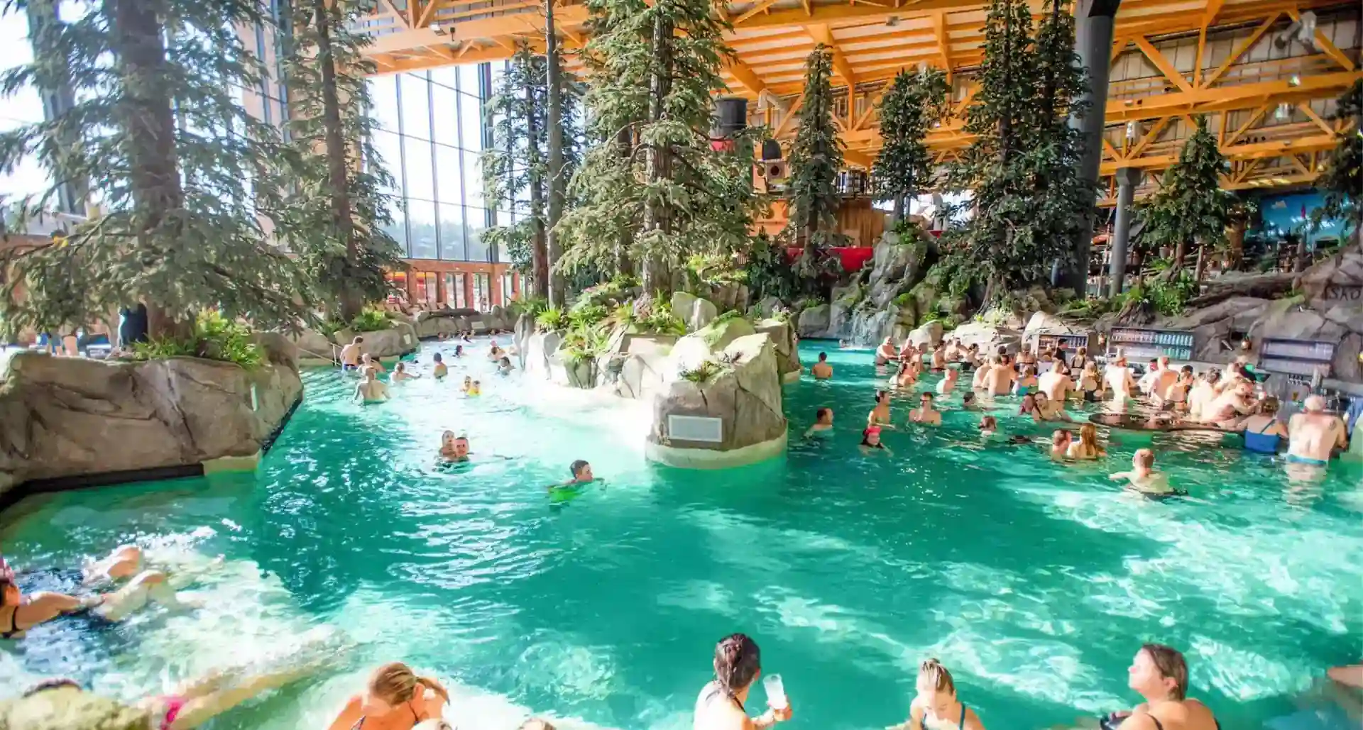 Conifère artificiel XXL dans la piscine couverte — arbre artificiel ArtTree adapté aux pièces humides
