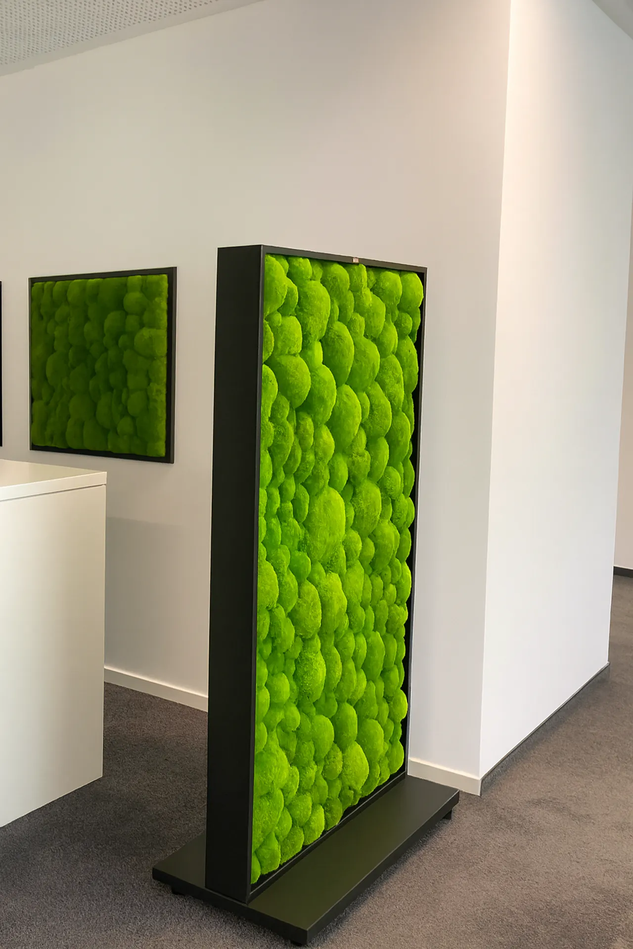 Cloison de bureau moderne — Cloisons et solutions acoustiques de MOOSMOOS