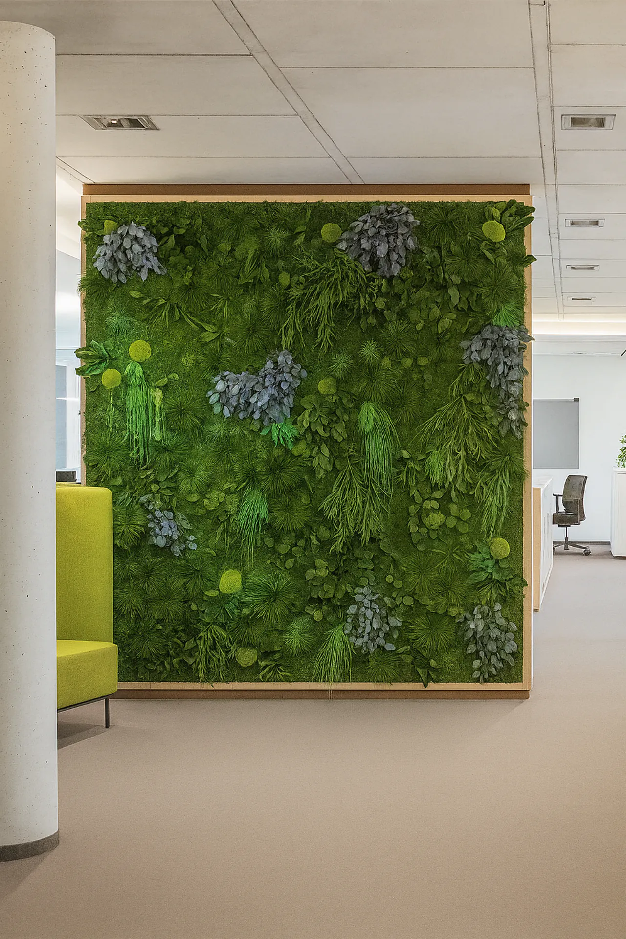 Mur acoustique et cloison en mousse naturalisée, ne nécessitant aucun entretien, dans un bureau