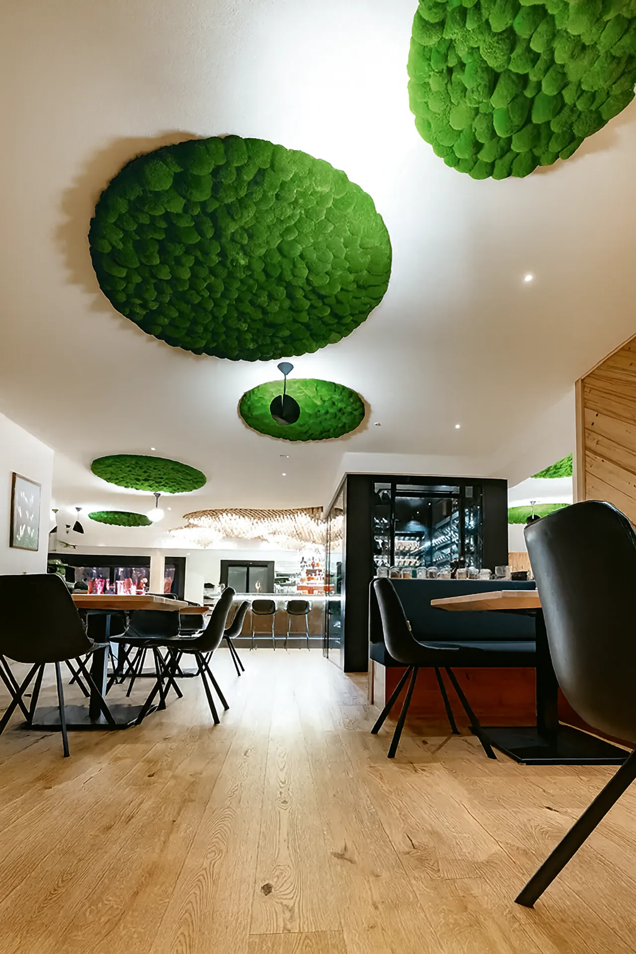 Véritable mousse stabilisée — « Hanging Garden » de MOOSMOOS
