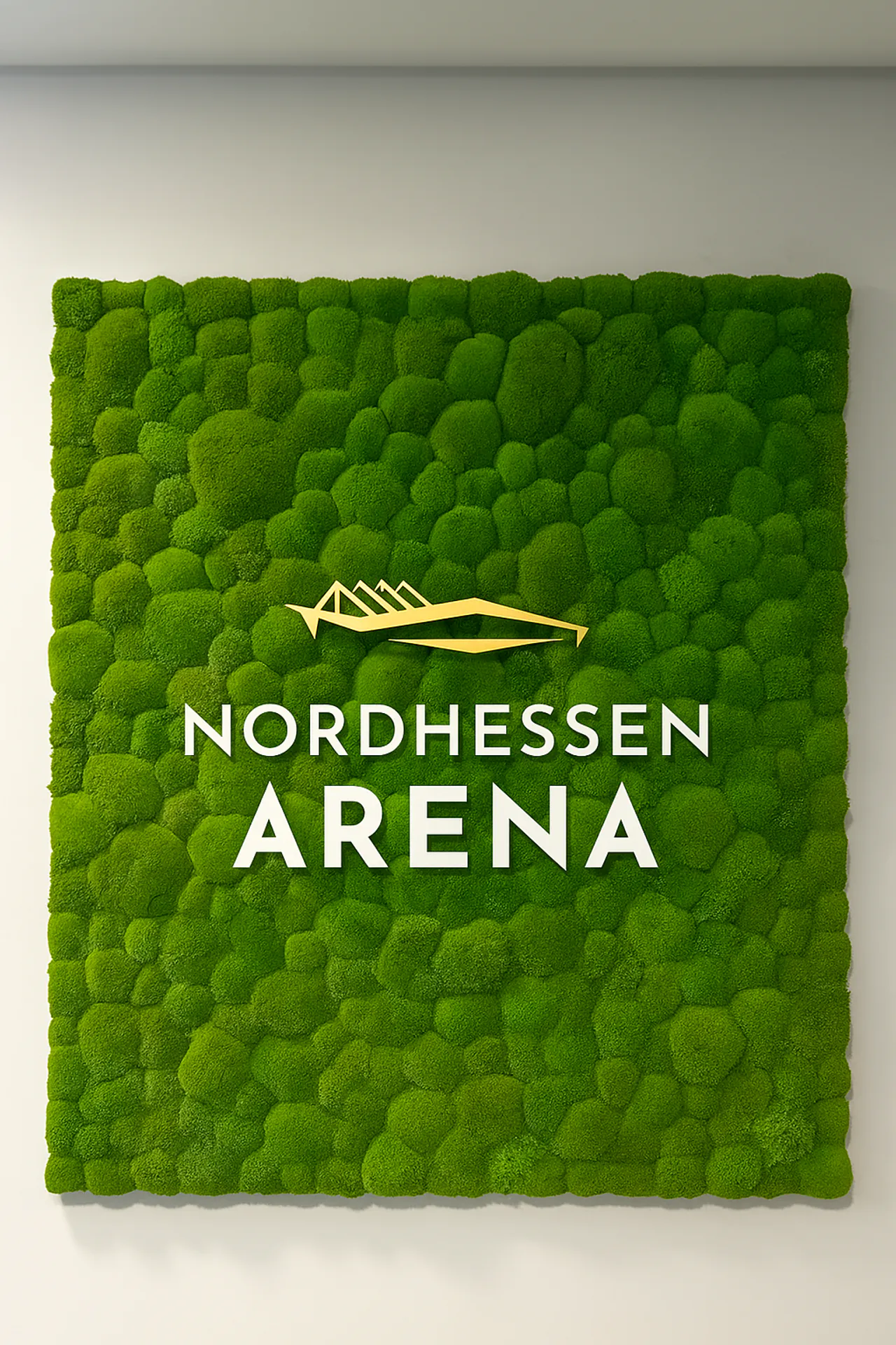 Logo de Moos « Nordhessen Arena » — Logo de Moos créé par MOOSMOOS