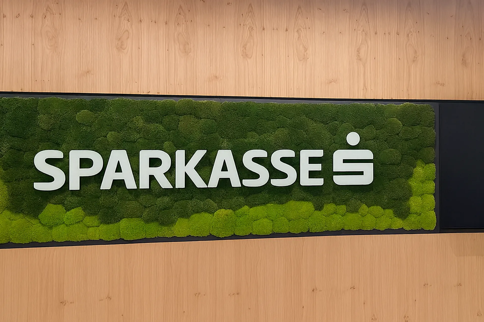 Logo de Moos Sparkasse — Logo de Moos créé par MOOSMOOS