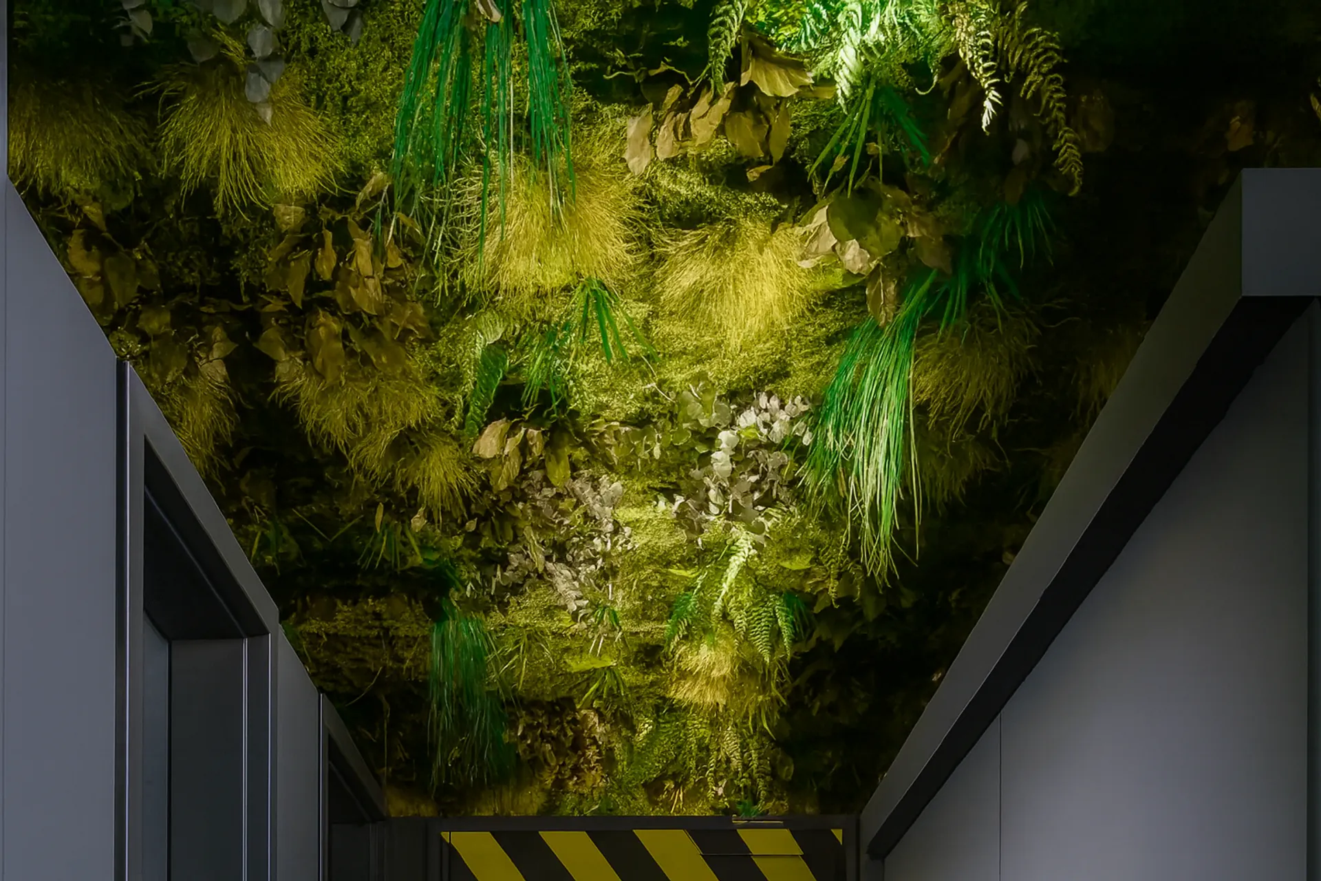 Installation suspendue « Hanging Garden » pour bureau — Végétalisation du plafond par MOOSMOOS