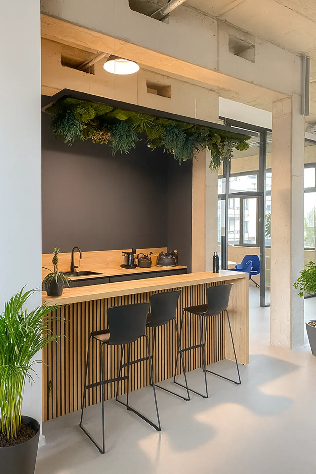 Plafond en mousse pour bureau, cuisine et comptoir — Végétalisation de plafond par MOOSMOOS