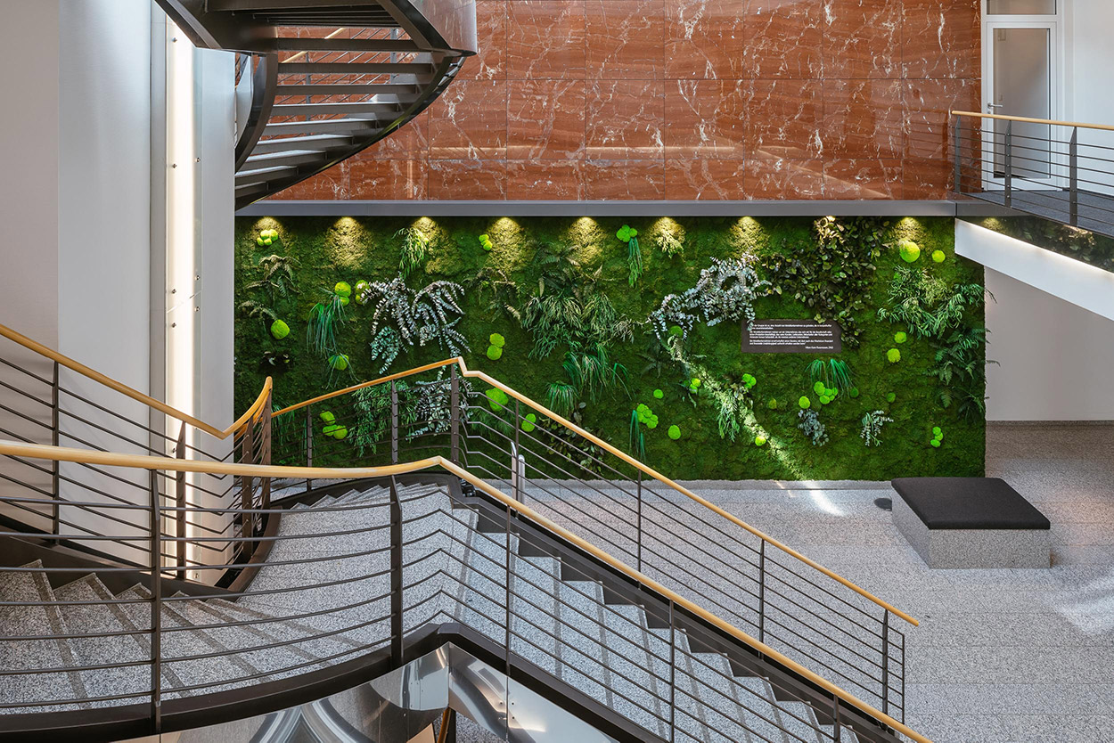 große MoosMoos Wandbegrünung aus Pflanzen Moos im Eingangsbereich eines Firmengebäudes