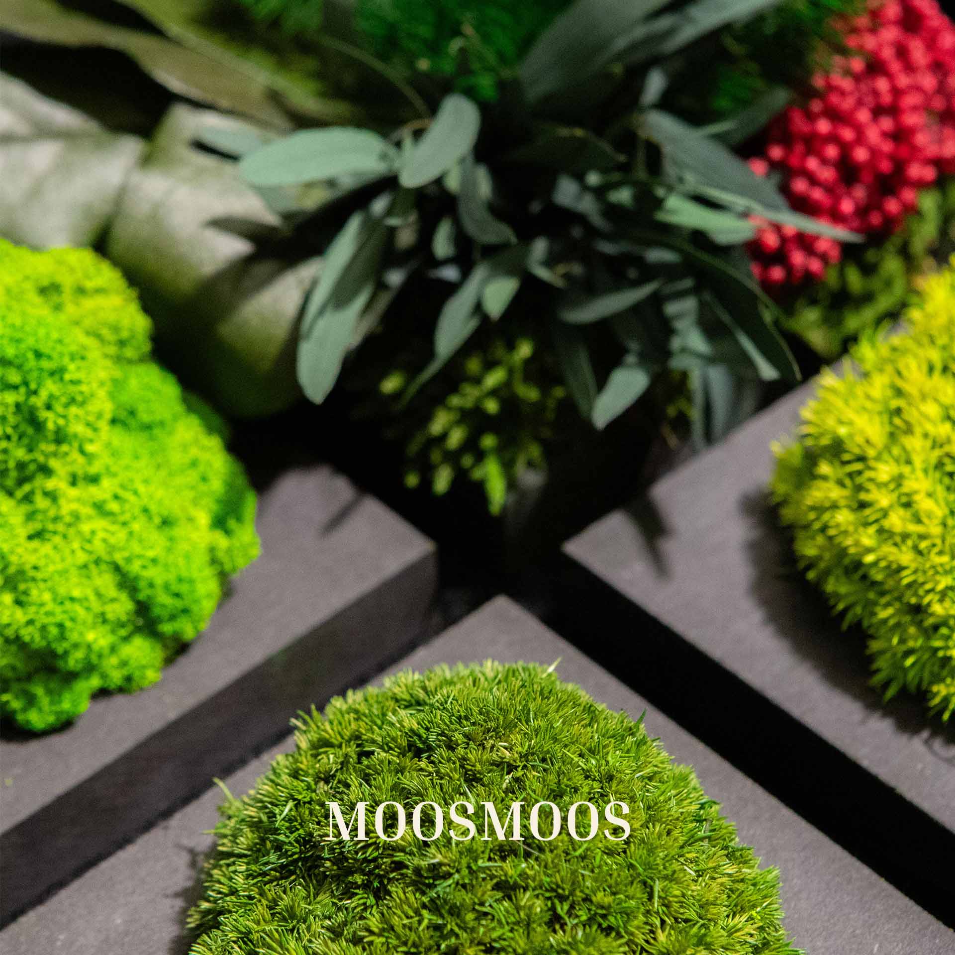 Le contenu complet de la boîte d’échantillons MOOSMOOS, comprenant des échantillons de mousse et le catalogue